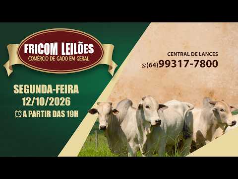 FRICOM LEILÕES 12/10/2026  (HOJE) / AO VIVO - LEILÃO DE GADO DE CORTE - PIRACANJUBA - GO