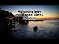 Valentino Indy Unreleased Songs Mashup Tiktok Mashup Compilation