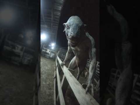 CCTV Captures Chupacabra Lurking Around Mexican Farmhouse