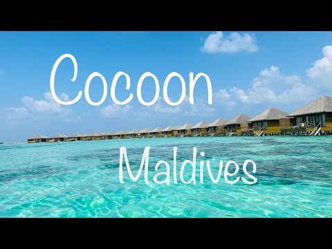 Videos del Cocoon Maldives 5★ en Atolón Lhaviyani, Maldivas
Ver Más
Ver
Precios
17
Cerrar
Consulta por Whatsapp 🇦🇷
Booking
Tripadvisor
Expedia
Agoda
Travelocity
Orbitz
Priceline
Trip
Skyscanner
Despegar
Kayak
Hoteles
Destinia
Trivago
Lastminute
Tui
Wotif