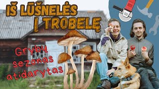 IŠ LŪŠNELĖS Į TROBELĘ (6). Nieks nevyksta pagal planą