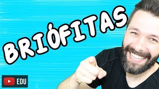 BRIÓFITAS - BOTÂNICA - Aula | Biologia com Samuel Cunha