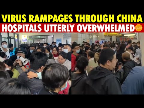 Interesting New Virus in China that reeks horror and.....................