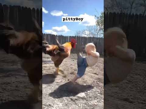 DJ AFRO MOVIES KIHINDI 2025 #shorts