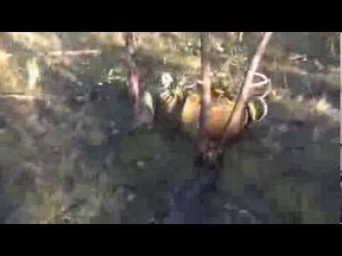 I'm The Juggernaut, Bitch