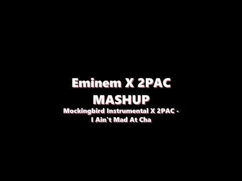 Eminem X 2PAC Mashup