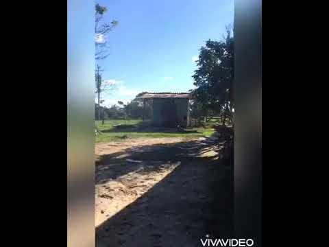 Hard pawer funk bass 2020 Dj xandy