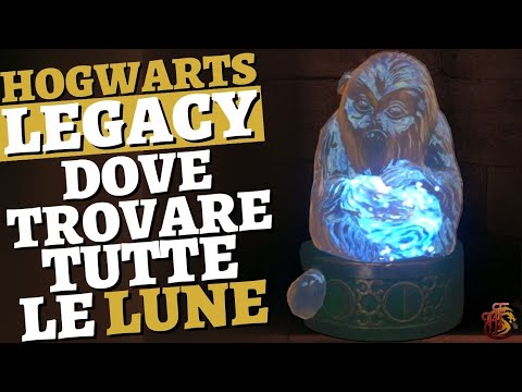 Dove Trovare Tutte le Lune Demiguise GUIDA HOGWARTS LEGACY
