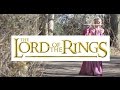 Lord of the Rings - In Dreams - Bevani Flute ...