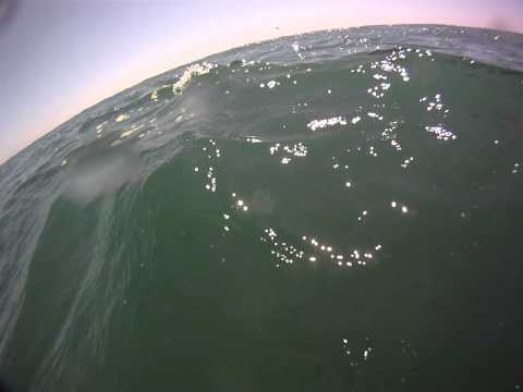 "Me, my shark and I". My GoPro video by Chuck Patterson