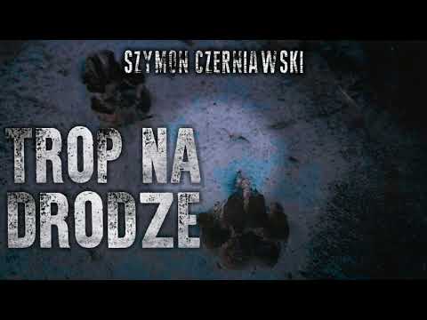 Trop na drodze cz. 1/2 - CreepyPasta [PL]