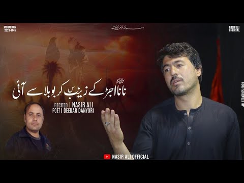 Nana Aujad Kay Zainab Karbobala Say Aye Nasir Ali New Noha  /2023 // 2024 / 1445