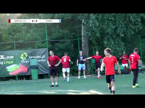 LIGOWIEC / LATO 2018 / ANDRA SP. Z O.O. - HYABAK