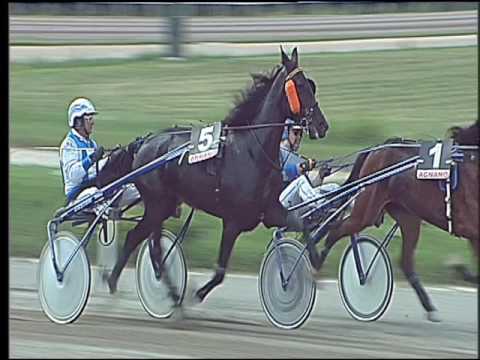 Trotto 22/06/2016 - 2° corsa