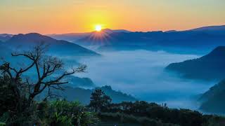 🌞 Beautiful sunrise | whatsapp status | landscapes | whatsapp status video | fog | 🌞 sun | nature