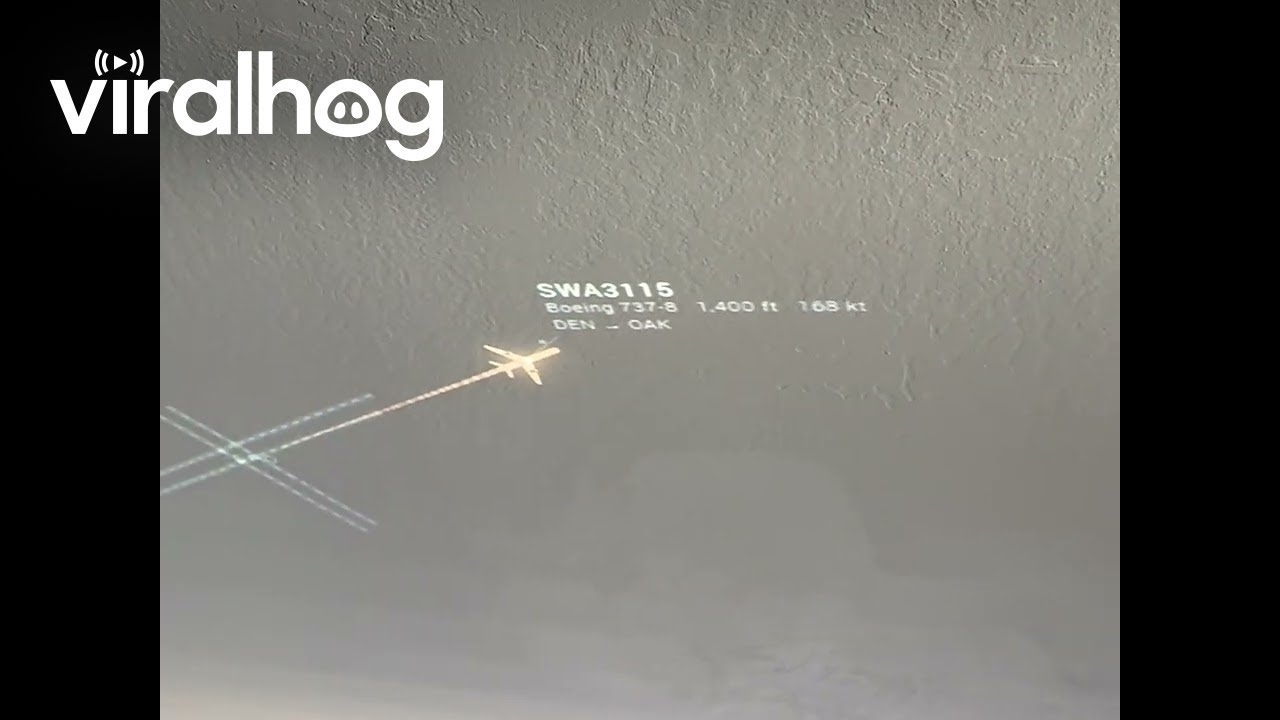 I Built a Ceiling Projection Mapping of the Planes Flying Over My House || ViralHog