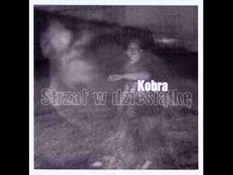 Kobra - Nie wszystko złotem