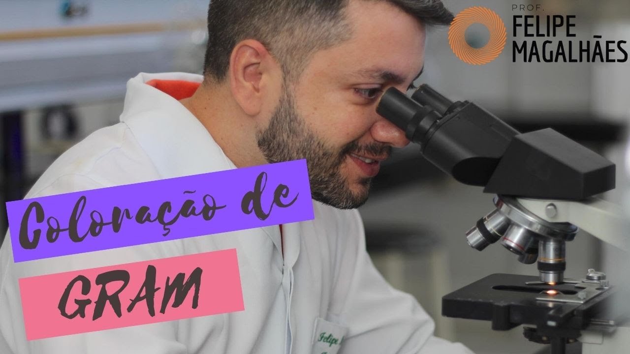 Coloração de Gram - Aula completa - Prof. Felipe Magalhães