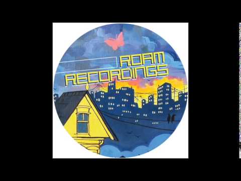 Roam 016  - JP Soul - Take Control - Anthony Mansfield Remix