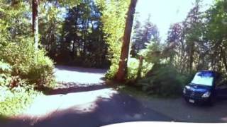 Bogachiel State Park Campground Video