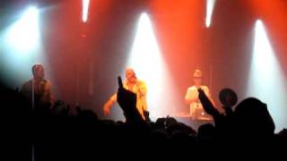 Malk de Koijn, Vega "De rigtige Mccoys"