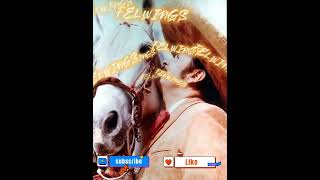 Pa que me sirve la vida - Antonio Aguilar - letra