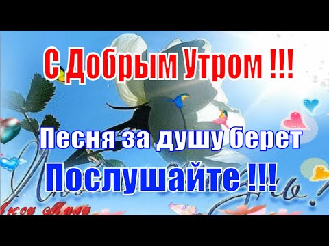 Доброго Утра Жизнь Прекрасна ???? Песня за Душу Берет!!! Обязательно Послушайте!