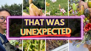 Why I’m rethinking lilies as a cut flower
