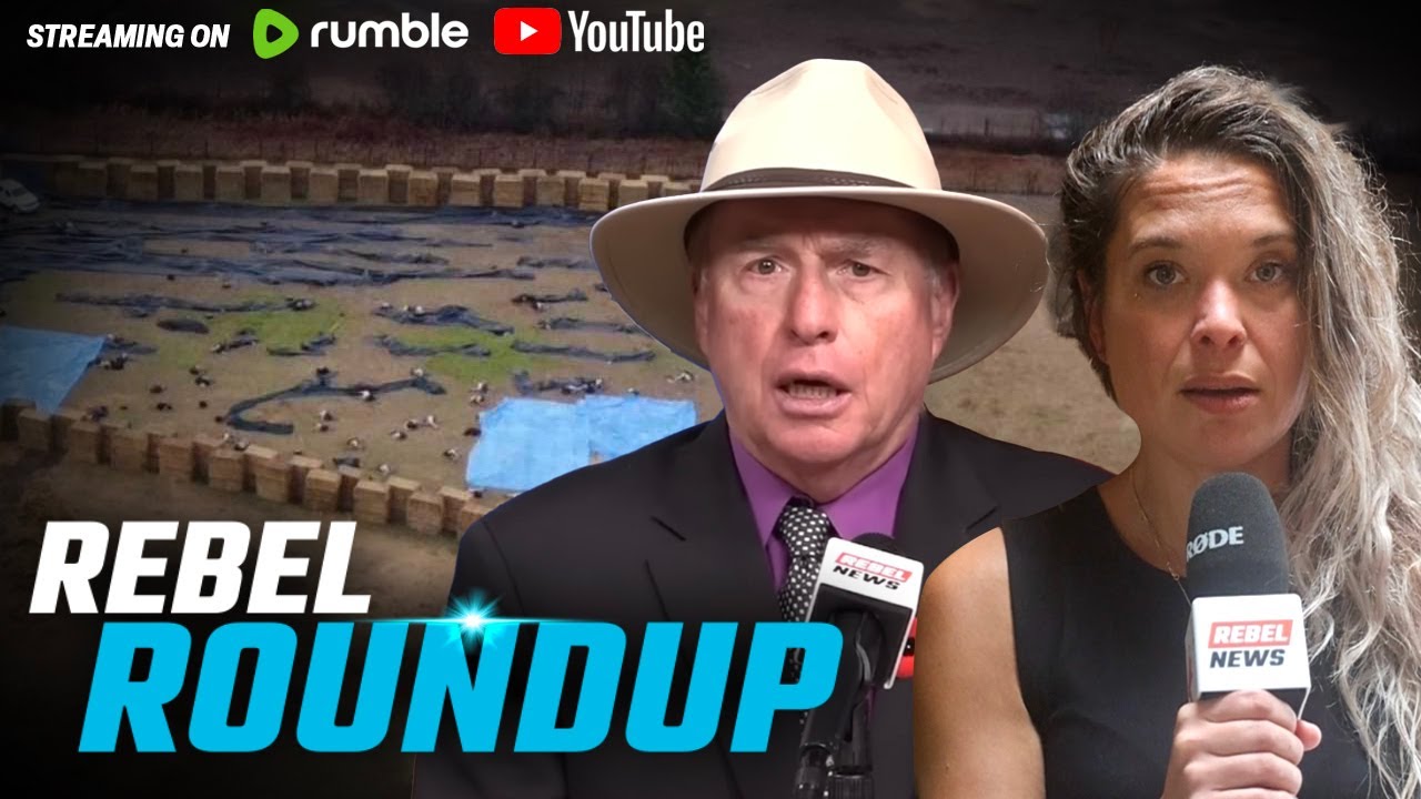Ostriches killed by CFIA, Poppy banned in court, Liberals continue mass migration | Rebel Roundtable