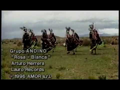 Rosa Blanca Andino - Puro Tinkus