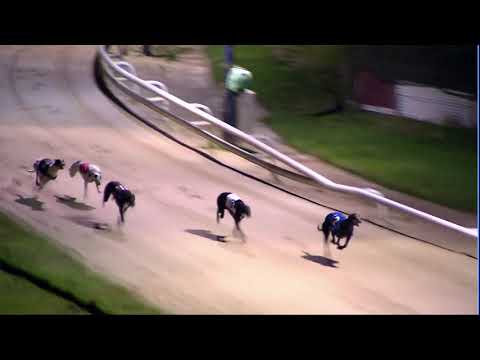 2020 RPGTV ST LEGER - HEAT 3 - T2 GREENHILL DEE