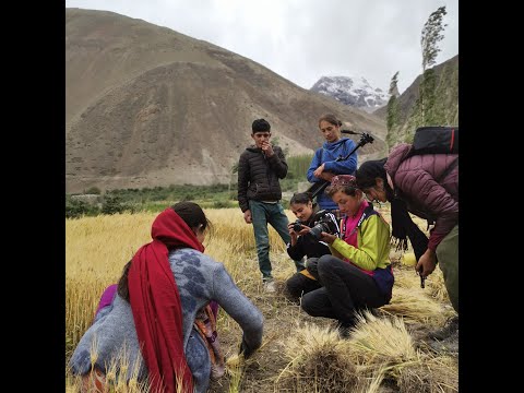 The Valley of Saints