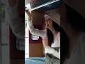 คุยเล่นเจ็บอีหลี กวางดวงฤทัย เขาบ่�
