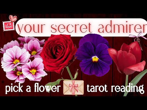 Who Has A Secret Crush On You? Their Next Move? What's Next?🌹| Pick A Card Tarot Reading For Love