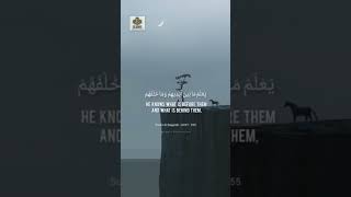 Download lagu AYATUL KURSI | Saad Al Ghamdi mp3