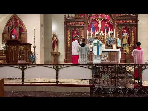 Alleluia - Dominica IV Post Pascha (Ps 117:16; Rom 6:9)