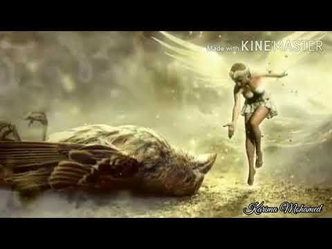 كان في عصفور _ نهال نبيل