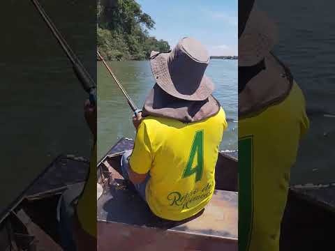 pescaria no rio Paraná Querência do norte Porto 18