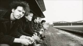 Half Man Half Biscuit - Arthur&#39;s Farm (Peel Session)