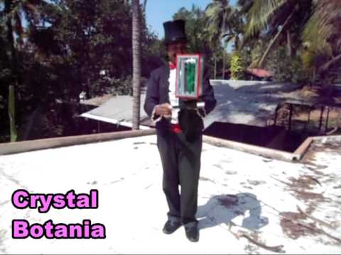 Crystal Botania.mpg