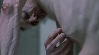 The Visual Feast of 'Hunger' (2008) | Steve McQueen