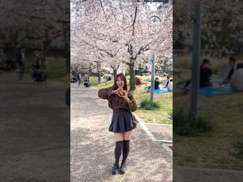 いちばんも踊った！🌸　#とくべチュして　#踊ってみた  #HIKARI