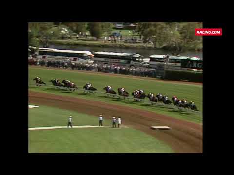 Lets Elope 1991 Melbourne Cup