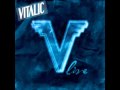 Vitalic - Valletta Fanfares (Live Version Outro)