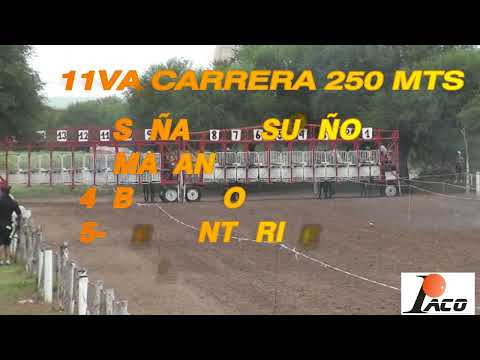 BANDIDO HIPODROMO PANGARE 20 02 2022