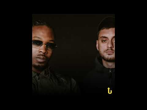 ICEKIID X Artigeardit type beat “Hunde”