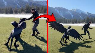 Mythical Creatures Caught On Camera! No One Believed They Existed Until They Were Filmed 