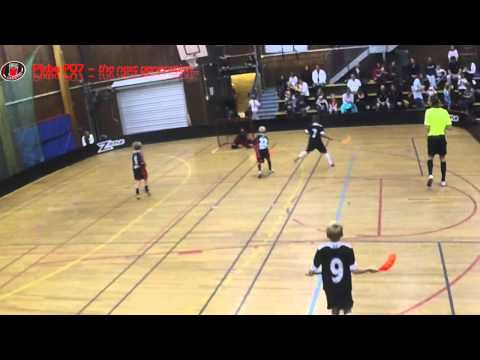 Ludvig gör en kanonrädning - Pixbo P07