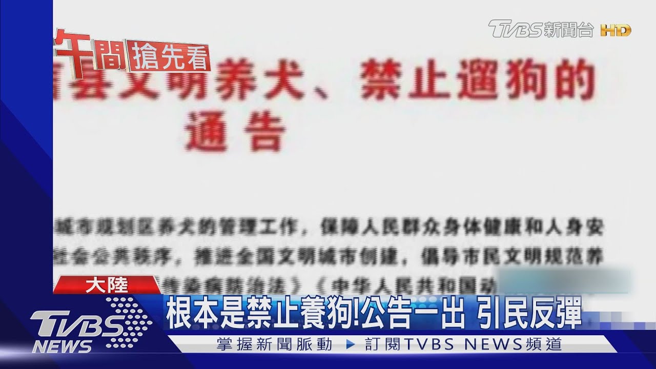 違規3次就撲殺! 「禁止遛狗令」引議論