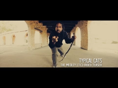 TYPICAL CATS - The Medley | TC3 Video Teaser